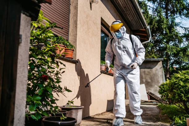 Wasp Removal Services in Wharton, TX