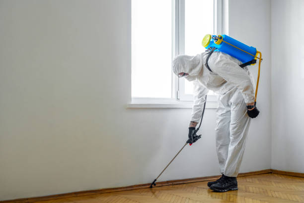 Best Exterminator Services  in Wharton, TX