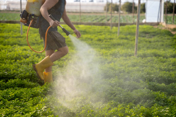 Best Pest Control Near Me  in Wharton, TX