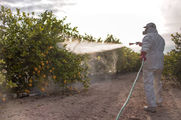 Wildlife Control Services in Wharton, TX