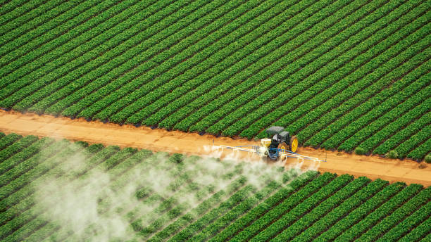 Best Best Pest Control Companies  in Wharton, TX