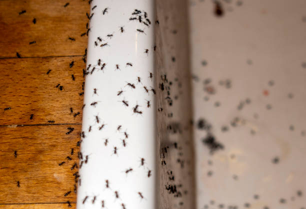 Wharton, TX Pest Control Company