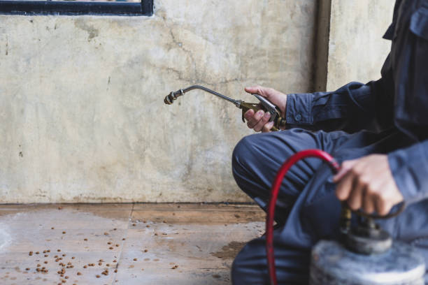Best Pest Control Cost  in Wharton, TX